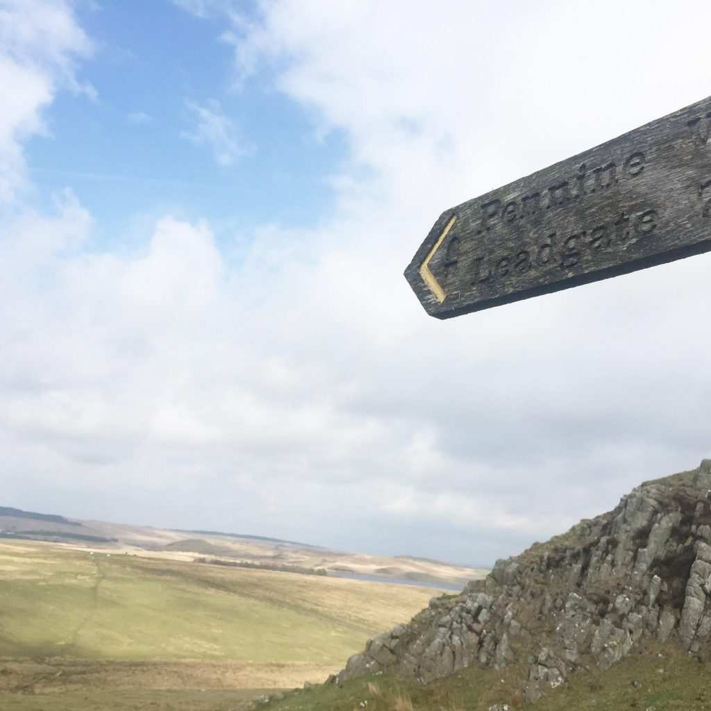 A wooden waymarker sign on Hadrian's Wall Path